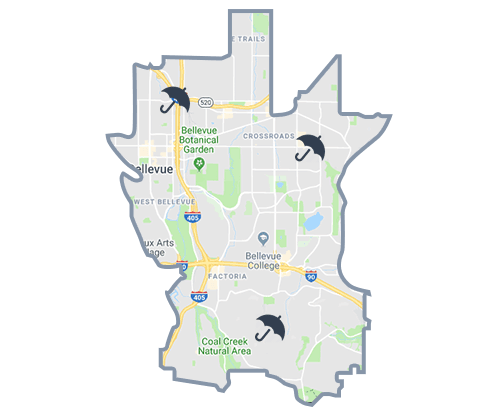 map-bellevue house cleaning