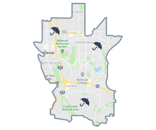 map-bellevue house cleaning