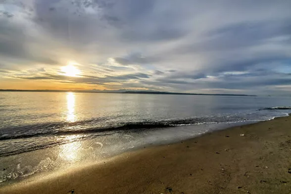 img-Edmonds img-Edmonds