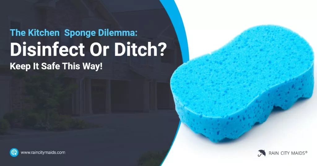 How to Clean a Sponge - Maids By Trade